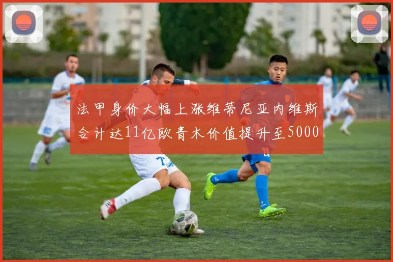 法甲身价大幅上涨维蒂尼亚内维斯合计达11亿欧青木价值提升至5000万