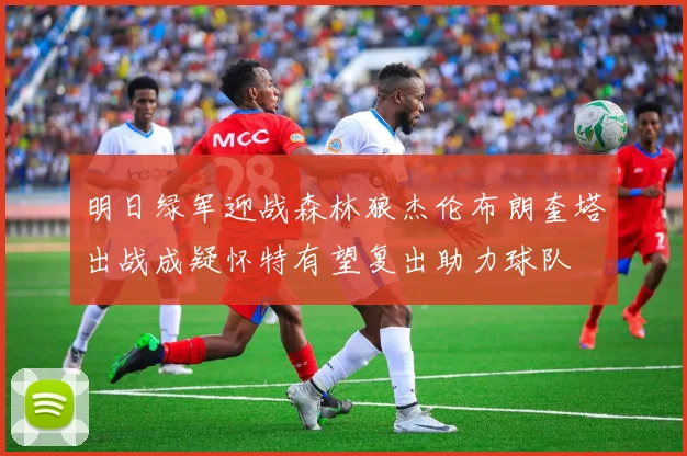 明日绿军迎战森林狼杰伦布朗奎塔出战成疑怀特有望复出助力球队