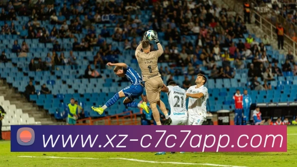 C7C7娱乐平台生态图