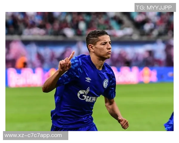 沙尔克04能否在穆斯利奇的带领下重返德甲赛场再创辉煌 沙尔克04能否在穆斯利奇的带领下重返德甲赛场再创辉煌